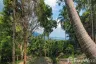 Land for sale in Santikhiri Estate, Na Mueang, Surat Thani