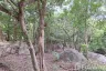 Land for sale in Santikhiri Estate, Na Mueang, Surat Thani