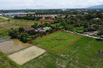 Land for sale in Nong Han, Chiang Mai