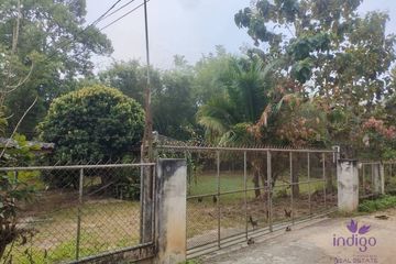 Land for sale in Mae Na, Chiang Mai