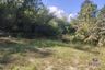 Land for sale in Mae Na, Chiang Mai