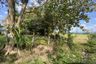 Land for sale in Buak Khang, Chiang Mai