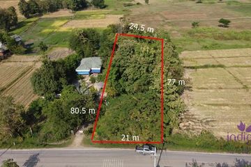 Land for sale in Buak Khang, Chiang Mai