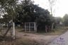 Land for sale in Nakhon Chedi, Lamphun