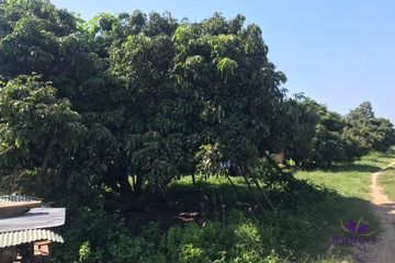 Land for sale in Nakhon Chedi, Lamphun