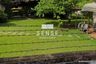 Land for sale in Khlong Toei Nuea, Bangkok near MRT Sukhumvit