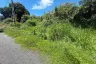 Land for sale in Nong Prue, Chonburi