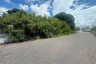 Land for sale in Nong Prue, Chonburi