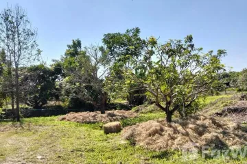 Land for sale in Nong Tong, Chiang Mai