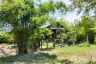 Land for sale in Nong Tong, Chiang Mai