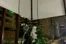 2 Bedroom Condo for Sale or Rent in The Emporio Place, Khlong Tan, Bangkok near BTS Phrom Phong