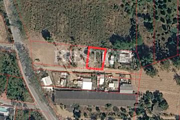 Land for sale in Nong Prue, Chonburi