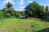 Land for sale in Pa Daet, Chiang Mai