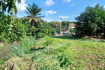 Land for sale in Pa Daet, Chiang Mai