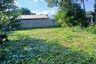 Land for sale in Pa Daet, Chiang Mai