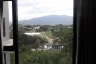 1 Bedroom Condo for sale in Tree Boutique Condo@Chang klan, Chang Khlan, Chiang Mai