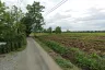 Land for sale in Pa Pong, Chiang Mai
