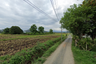 Land for sale in Pa Pong, Chiang Mai