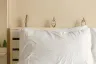 1 Bedroom Condo for rent in One Plus Klong Chon 1, Suthep, Chiang Mai