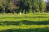 Land for sale in Nam Phrae, Chiang Mai