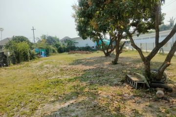 Land for sale in Pa Phai, Chiang Mai