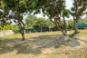 Land for sale in Pa Phai, Chiang Mai