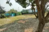 Land for sale in Pa Phai, Chiang Mai