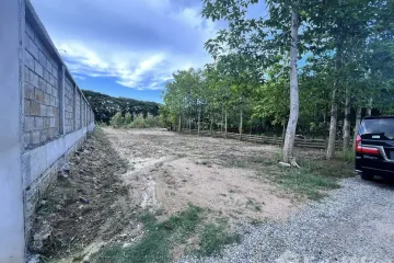 Land for sale in Tha Wang Tan, Chiang Mai
