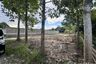 Land for sale in Tha Wang Tan, Chiang Mai