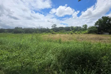 Land for sale in Don Kaeo, Chiang Mai