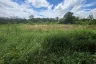 Land for sale in Don Kaeo, Chiang Mai