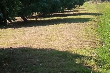 Land for sale in Tha Wang Tan, Chiang Mai