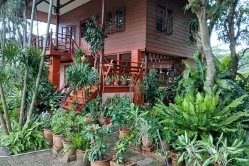 3 Bedroom House for rent in Don Kaeo, Chiang Mai