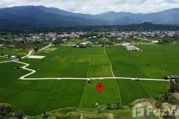 Land for sale in Sop Tia, Chiang Mai