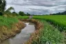 Land for sale in Sop Tia, Chiang Mai