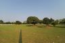 Land for sale in Rong Wua Daeng, Chiang Mai