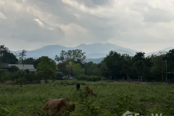 2 Bedroom House for rent in Mae Raem, Chiang Mai