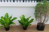3 Bedroom House for rent in Yang Noeng, Chiang Mai