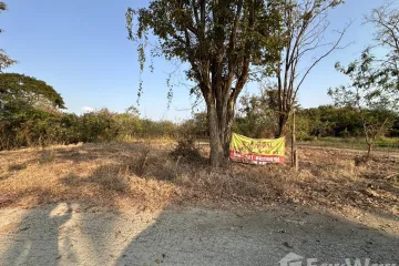 Land for sale in Huai Sai, Chiang Mai