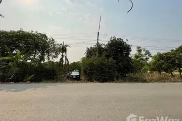 Land for sale in Buak Khang, Chiang Mai