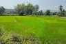 Land for sale in Saluang, Chiang Mai