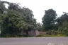 Land for sale in Pratu Pa, Lamphun
