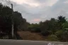 Land for sale in Pratu Pa, Lamphun