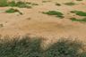 Land for sale in Ban Paen, Lamphun