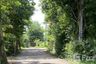 Land for sale in San Kamphaeng, Chiang Mai