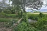Land for sale in Han Kaeo, Chiang Mai