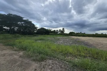 Land for sale in Han Kaeo, Chiang Mai