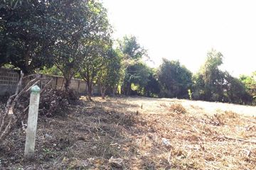 Land for sale in San Klang, Chiang Mai