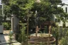 4 Bedroom House for rent in Nong Chom, Chiang Mai