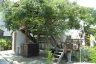4 Bedroom House for rent in Nong Chom, Chiang Mai